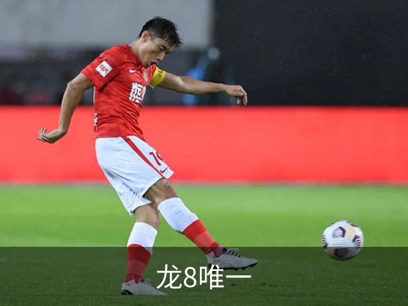 龙8唯一介绍